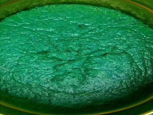 耐蚀鳞片胶泥在脱硫烟道中的应用